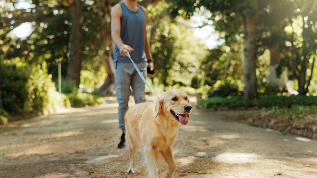 Un hombre paseando a su perro.