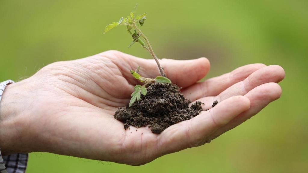 Países Bajos propone iniciativas sorprendentes y amables con la naturaleza.