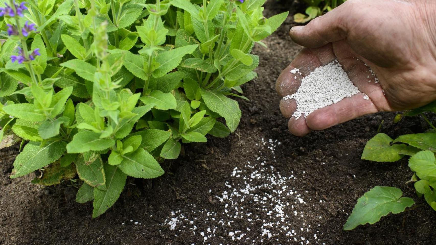 Imagen de ilustración.