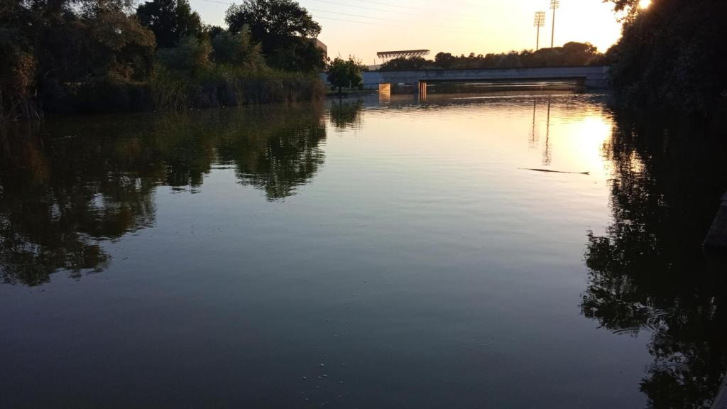Los parques del sur de España se están diseñado 'a la inglesa'.