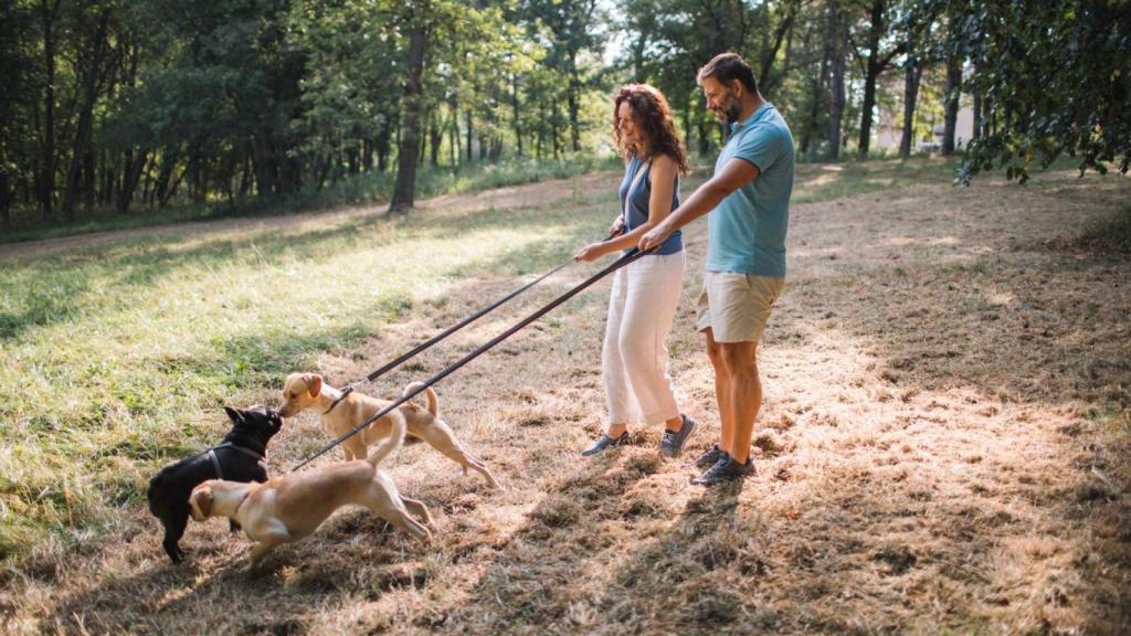 Una mujer y un hombre con sus perros en el parque.