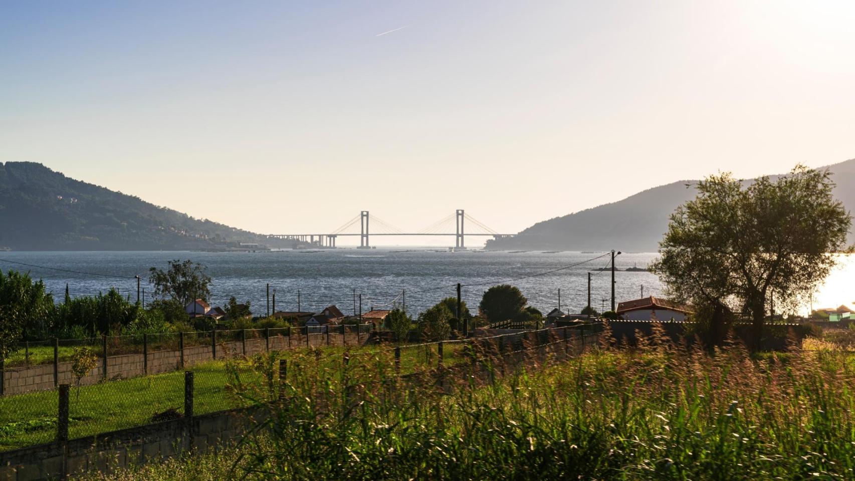 Vistas al Puente de Rande