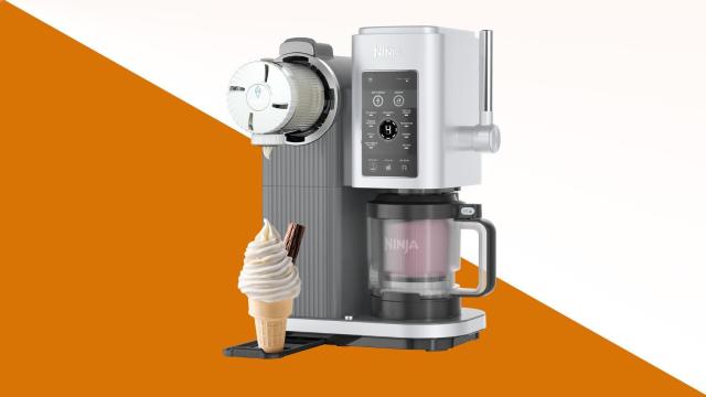 Ninja Swirl by CREAMi.