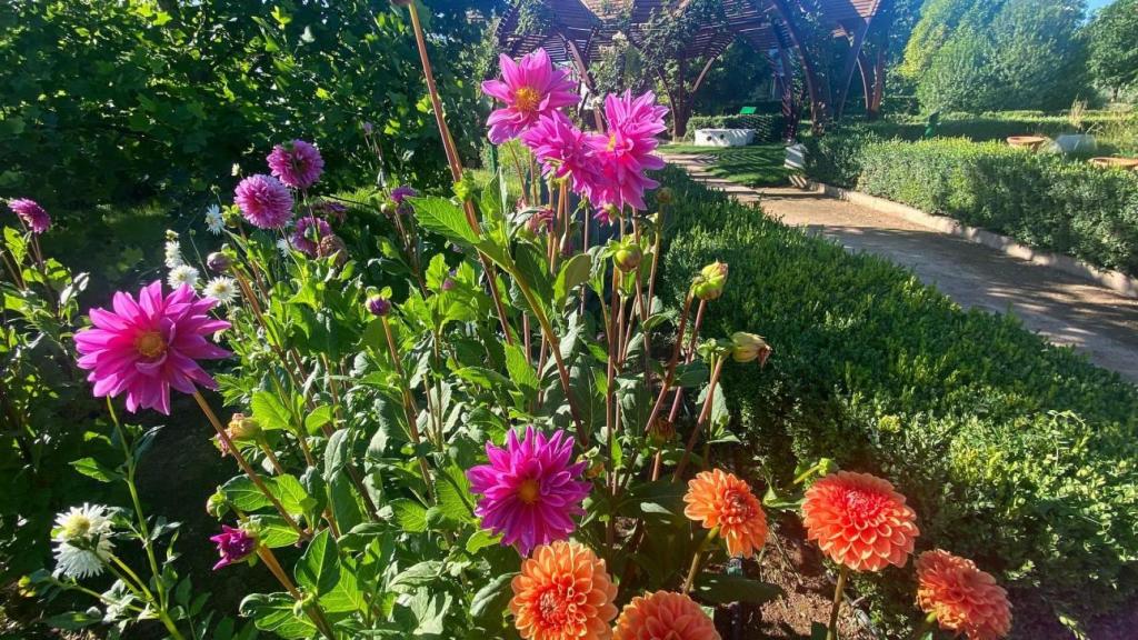 El Jardín Botánico en Castilla-La Mancha busca la excelencia en la certificación de CAAE.