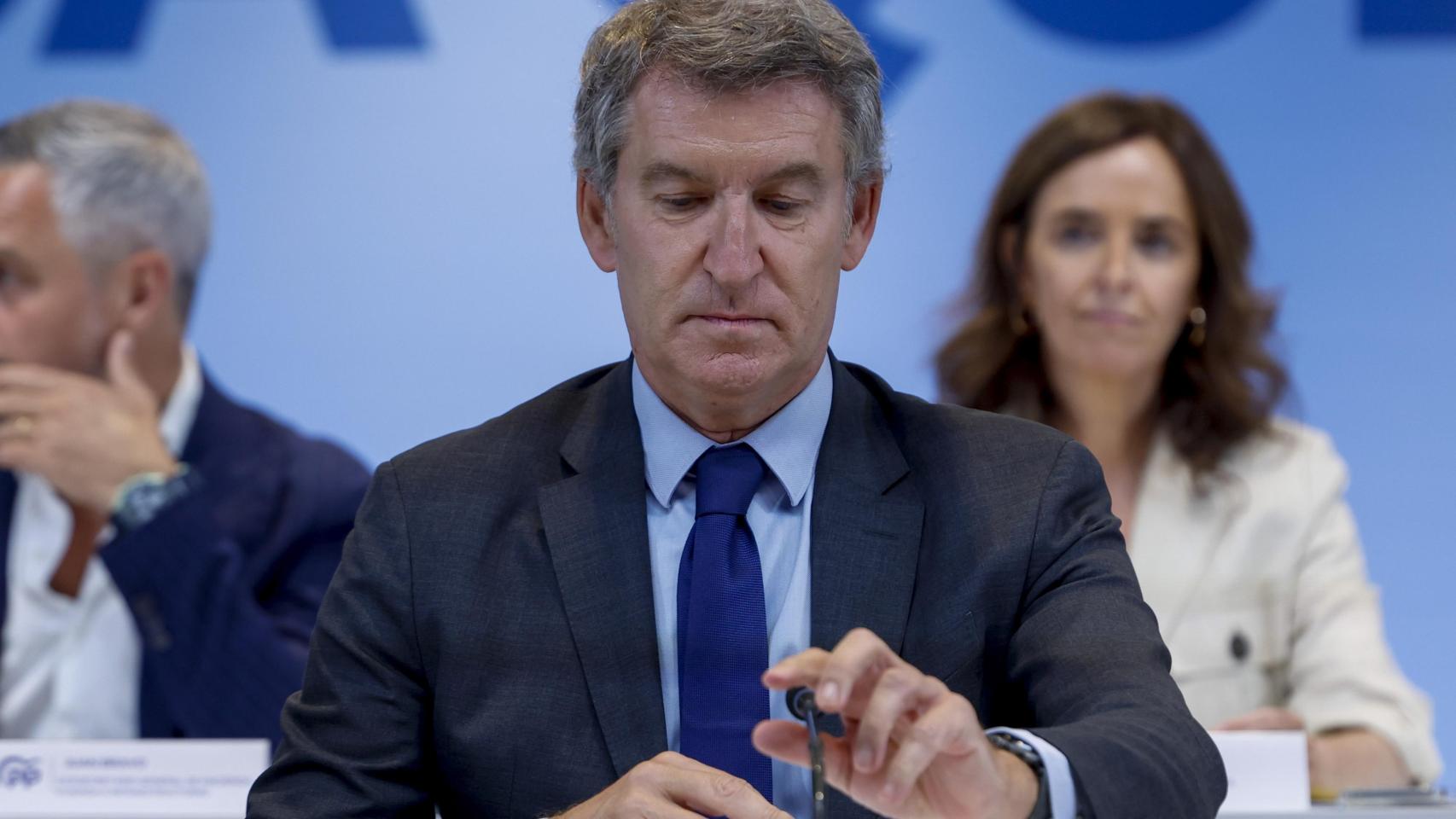 El líder del PP, Alberto Núñez Feijóo, en una imagen de archivo.