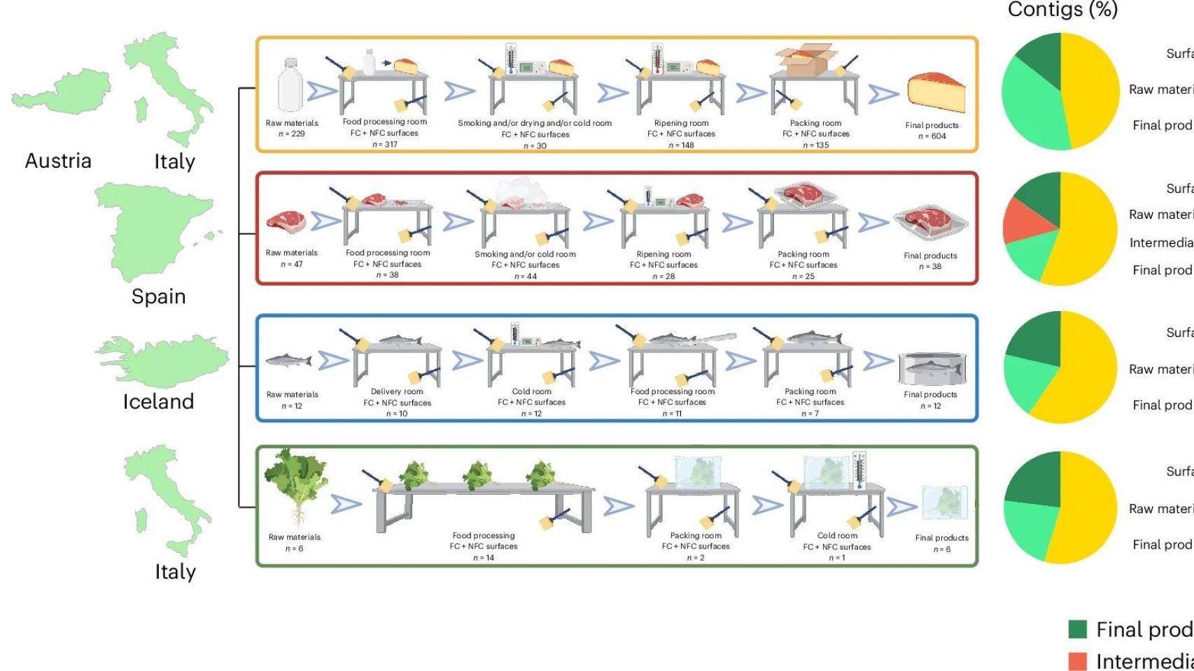 Imagen de la publicación de la investigación