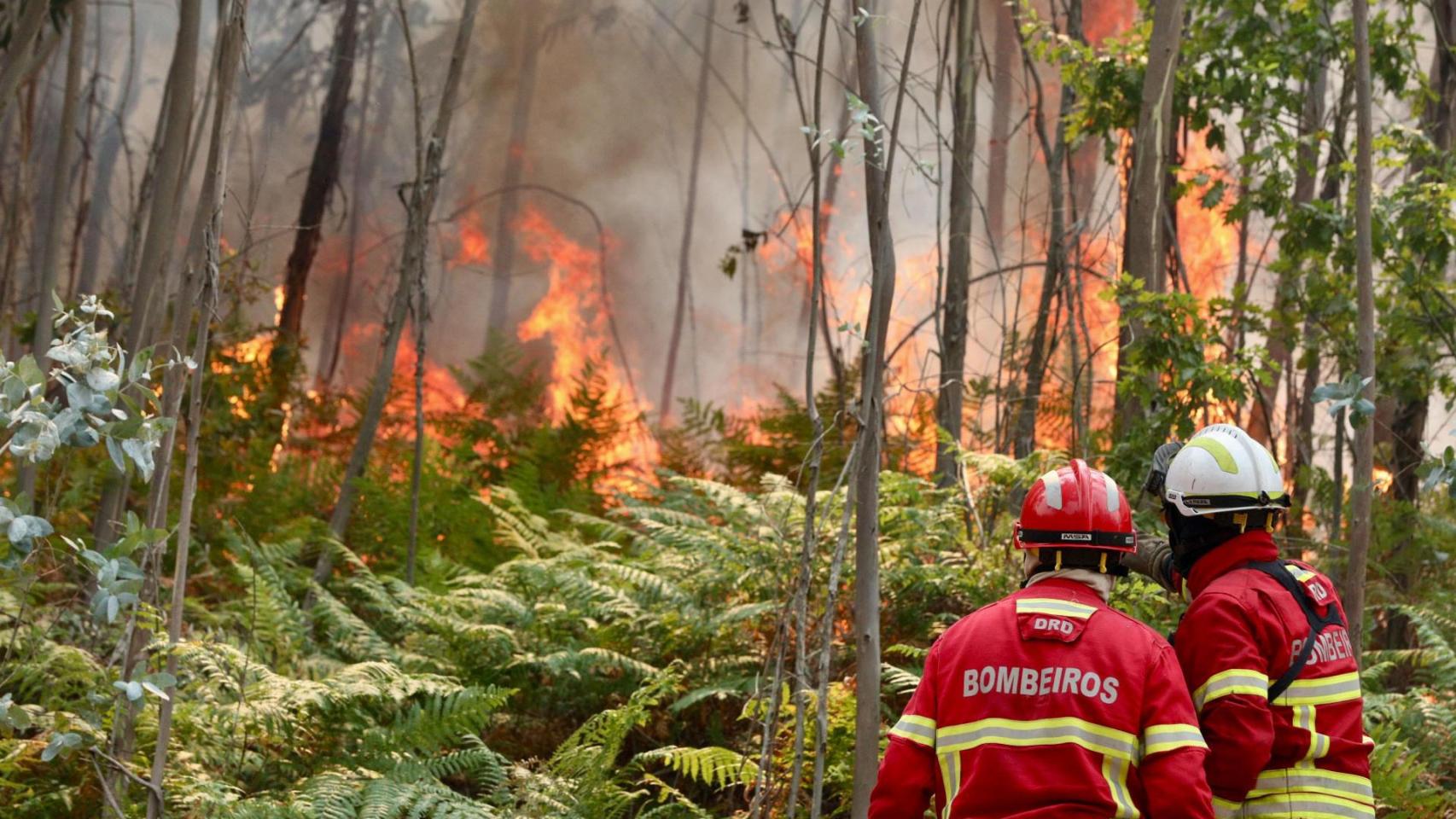 Dos bomberos portugueses tratan de controlar el fuego que arrasa el norte de Portugal