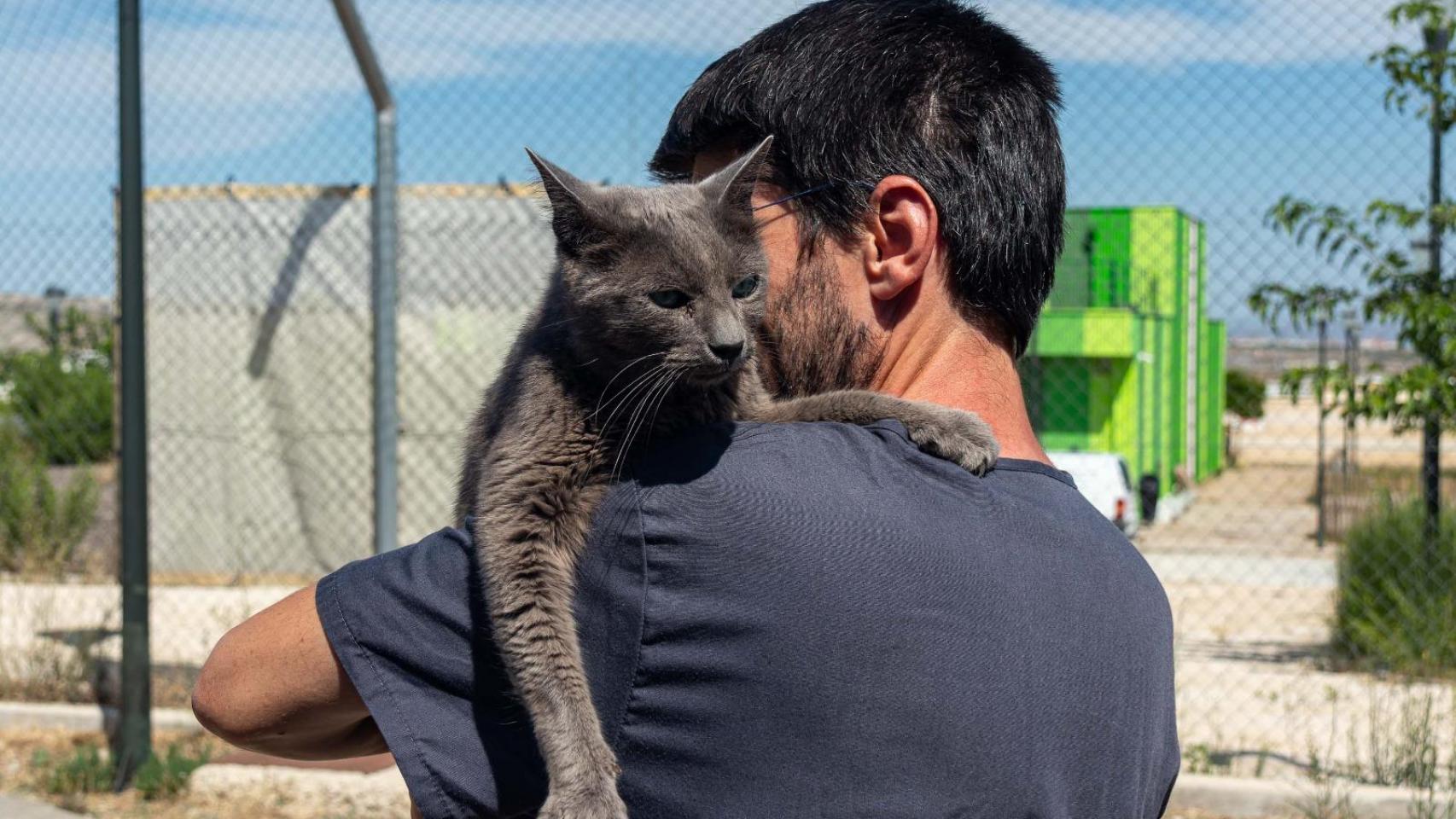Un gato del centro municipal, con uno de los trabajadores.