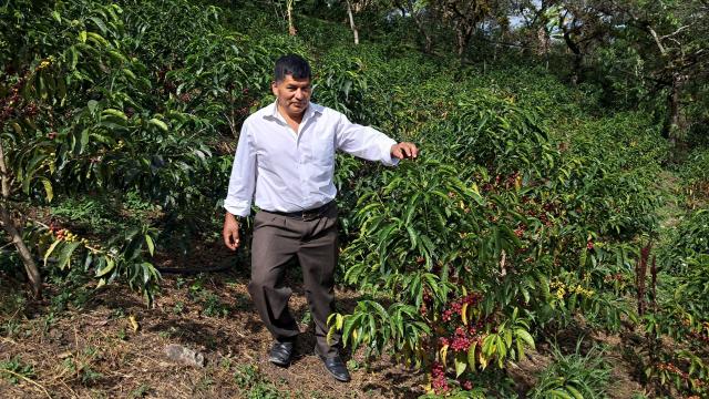 Luis Rigoberto posa junto a su plantación de café.