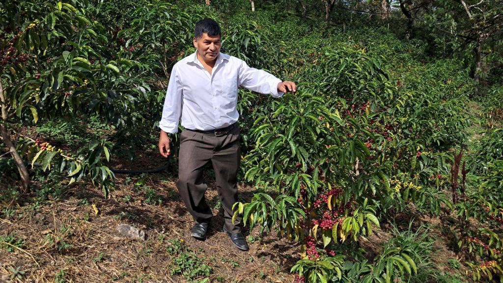 Luis Rigoberto posa junto a su plantación de café.
