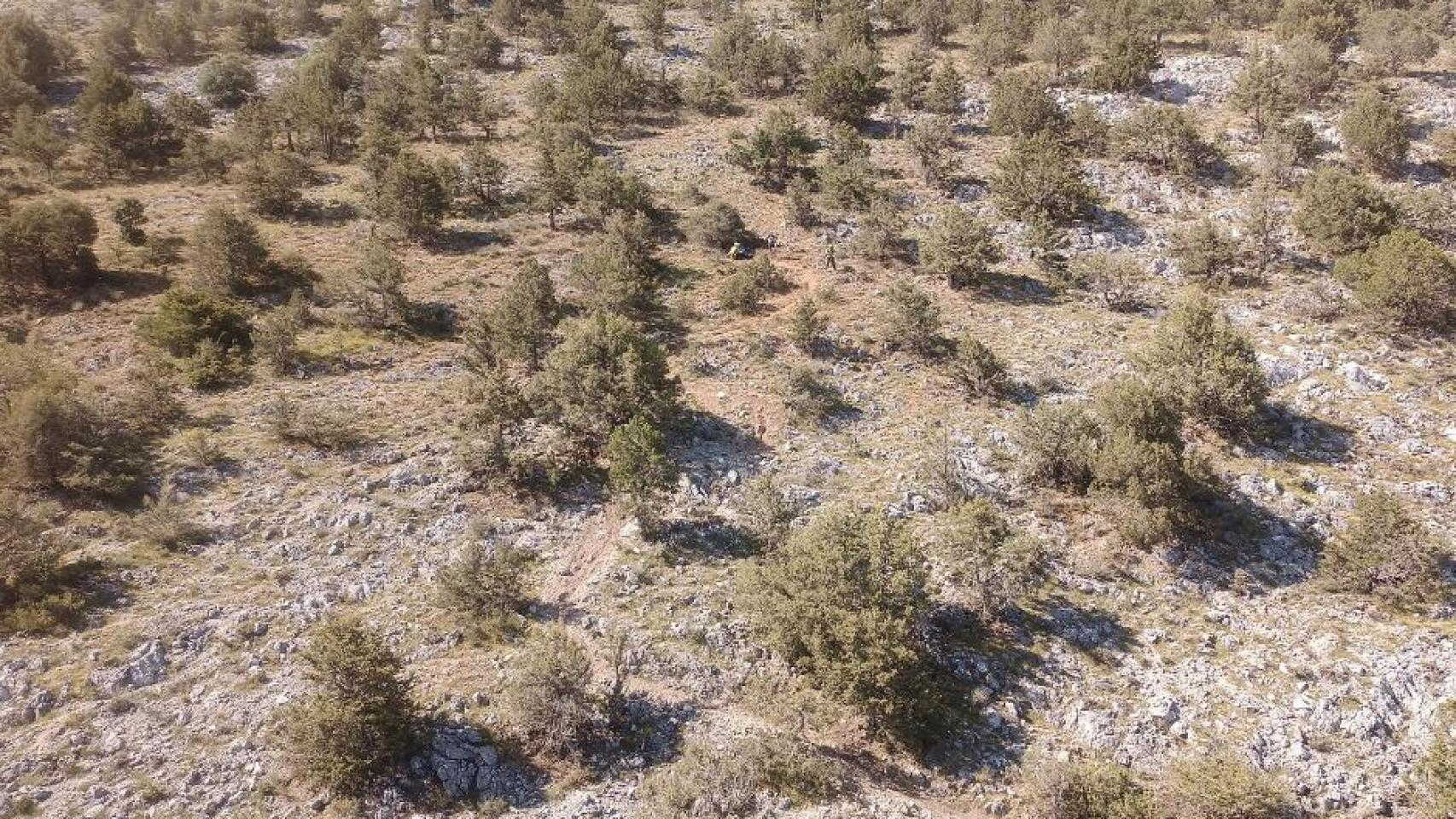 Imagen de la senda donde se ha accidentado el ciclista en Burgos.