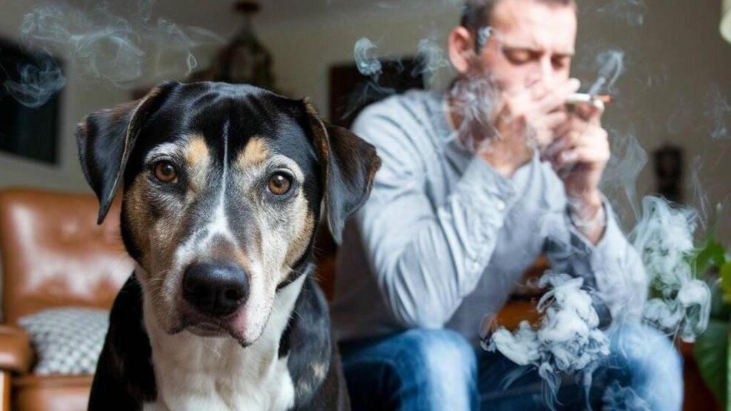 Un chico fumando al lado de un perro.