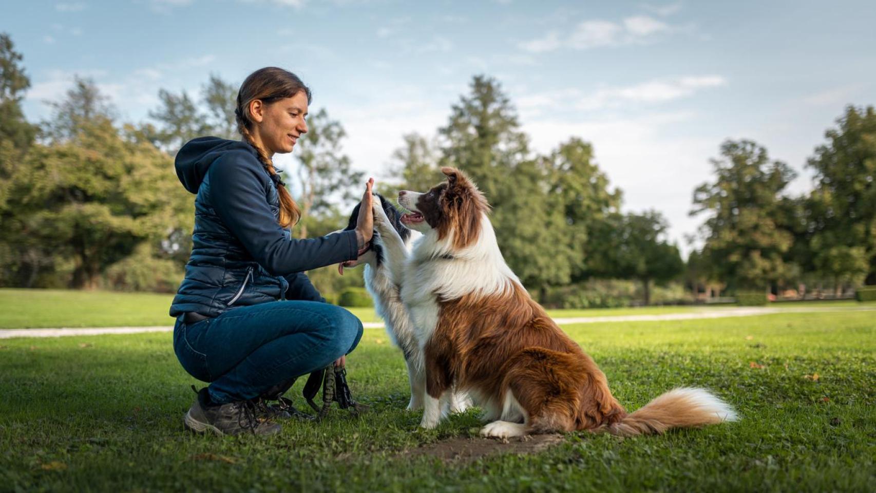 Una chica con un Border Collie.