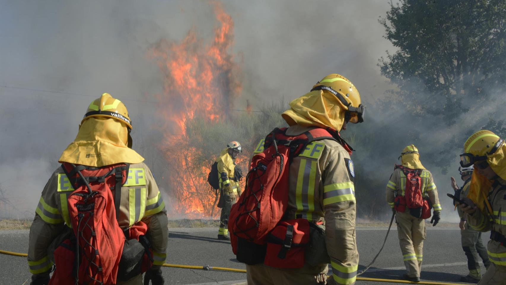Imagen de archivo de un incendio forestal en Oseira, en San Cristovo de Cea (Ourense), en agosto de 2024.