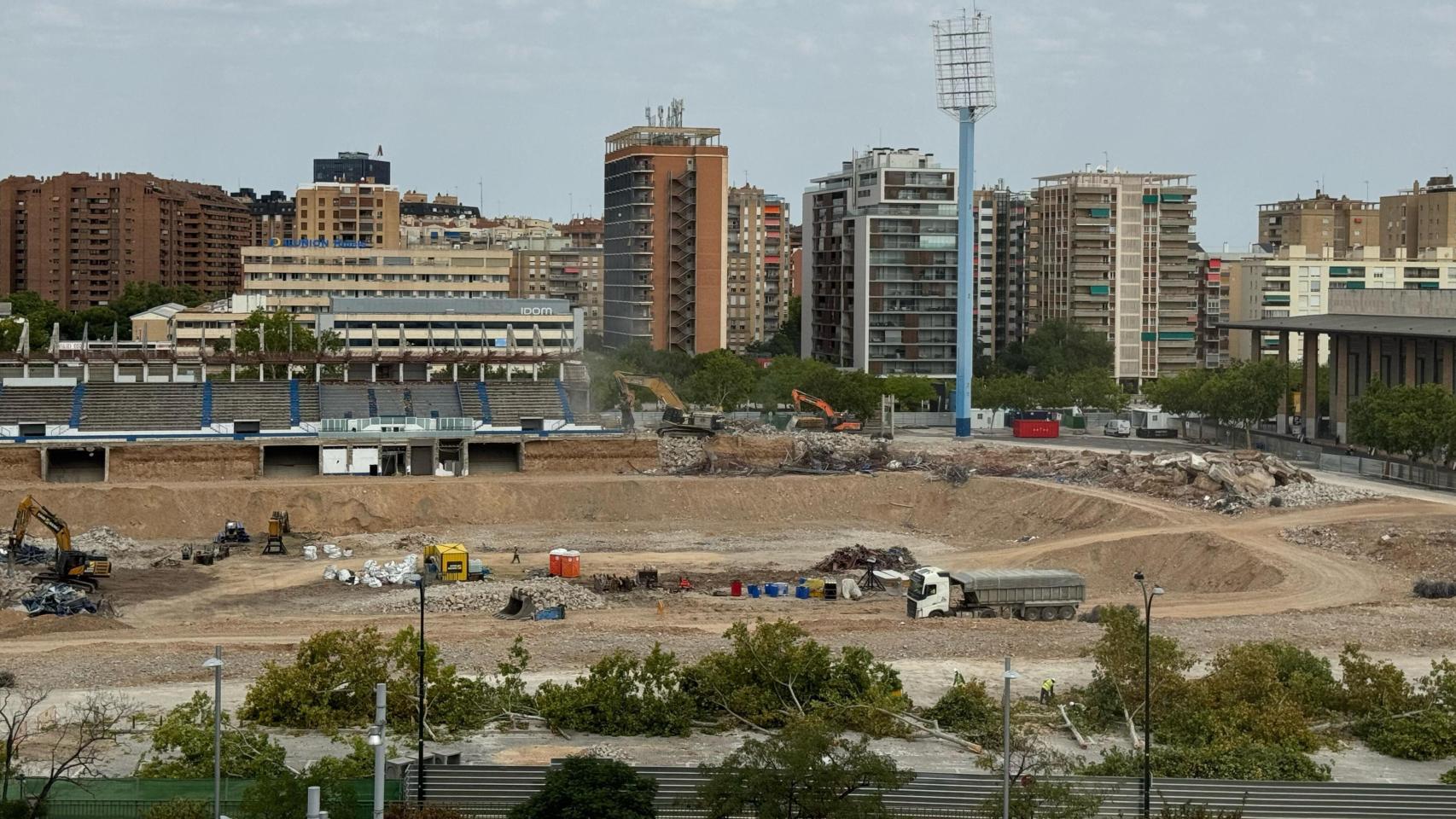 Los árboles del entorno de La Romareda, este miércoles, en el suelo.