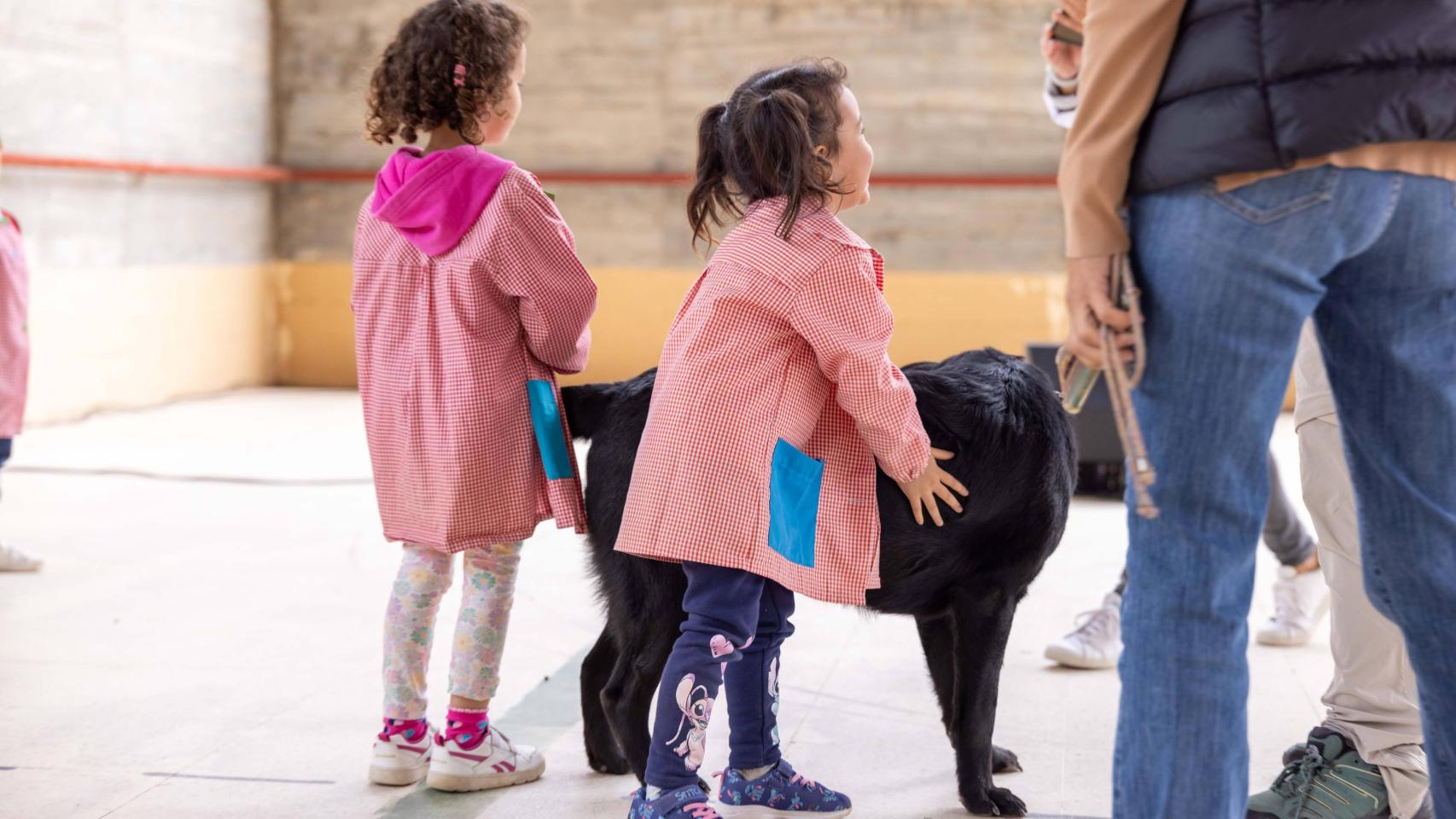 Dos niñas participando en una actividad escolar en Toledo.