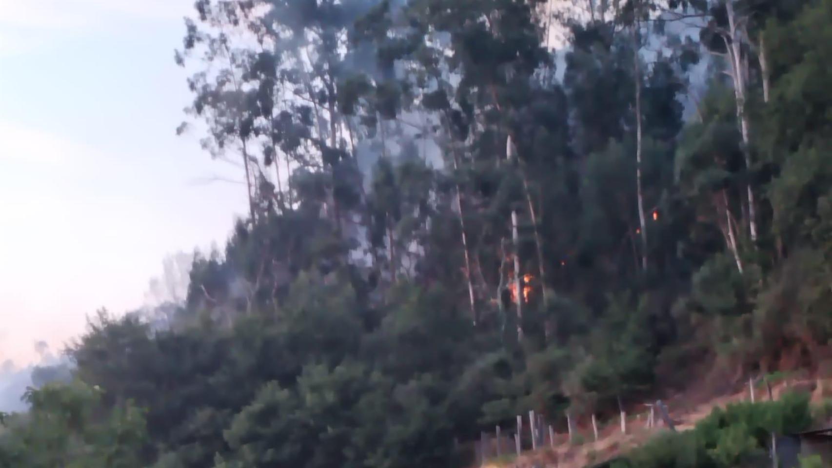 Incendios en Salceda de Caselas (Pontevedra)