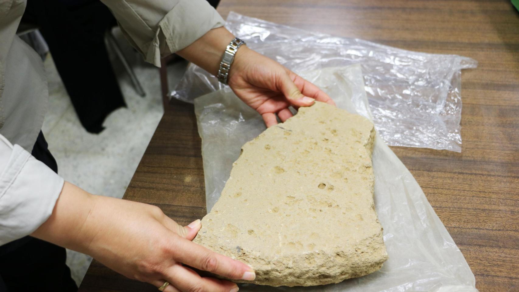 Restos hallados en el Castro de los Judíos que serán analizados en los laboratorios de la Universidad de León