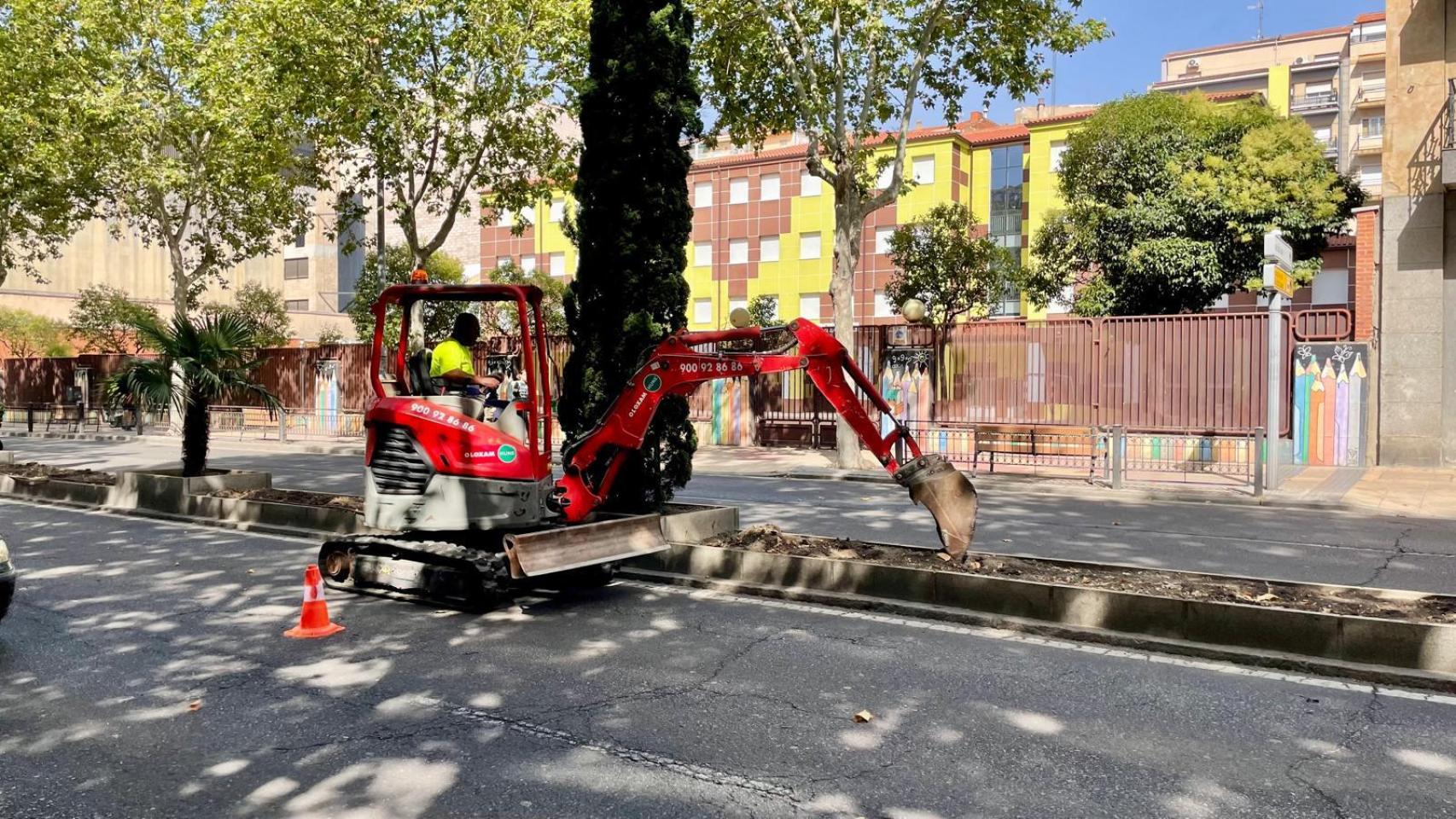 Renovación de la mediana del paseo de Carmelitas
