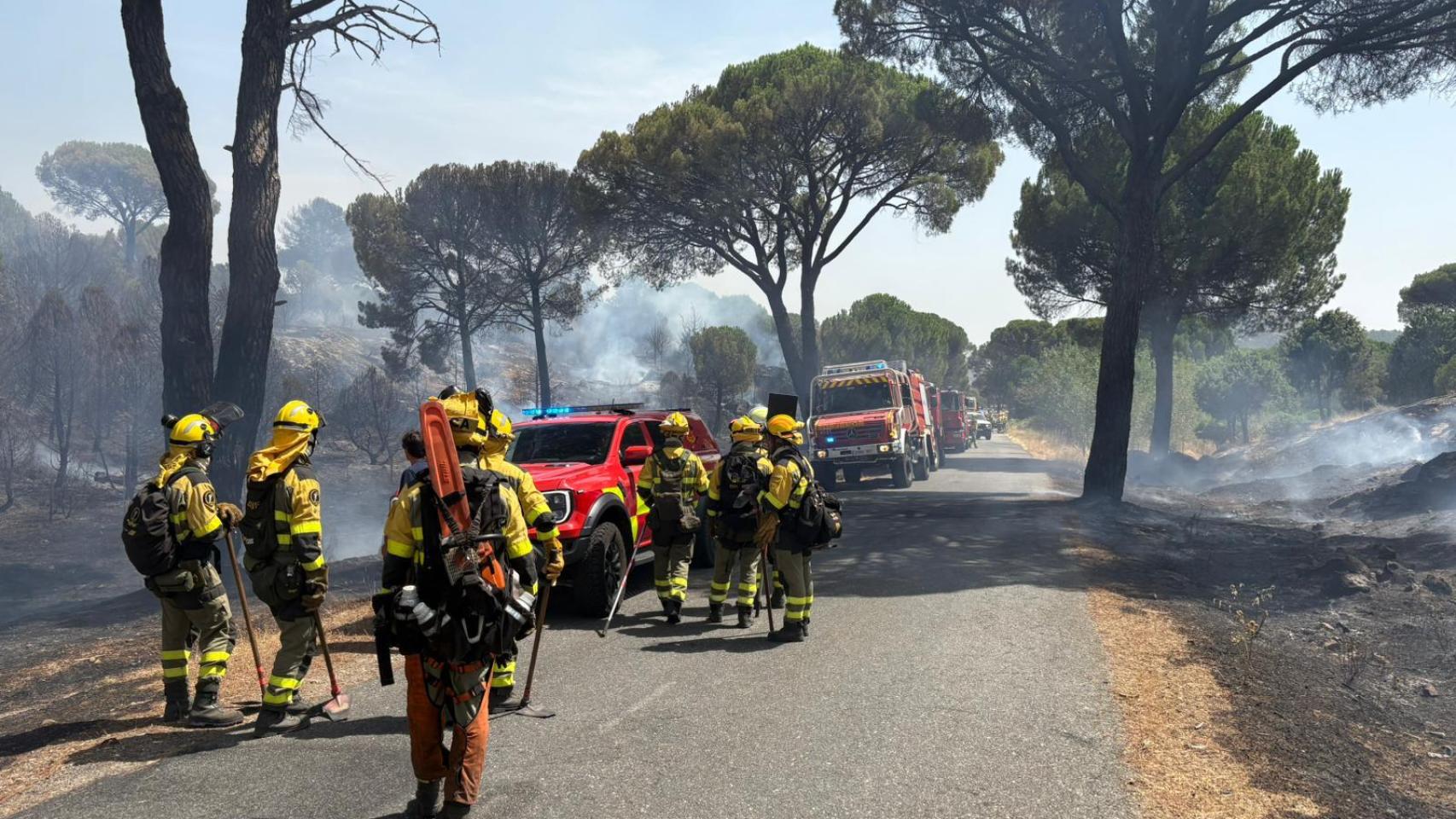 Incendio de San Bartolomé de Pinares