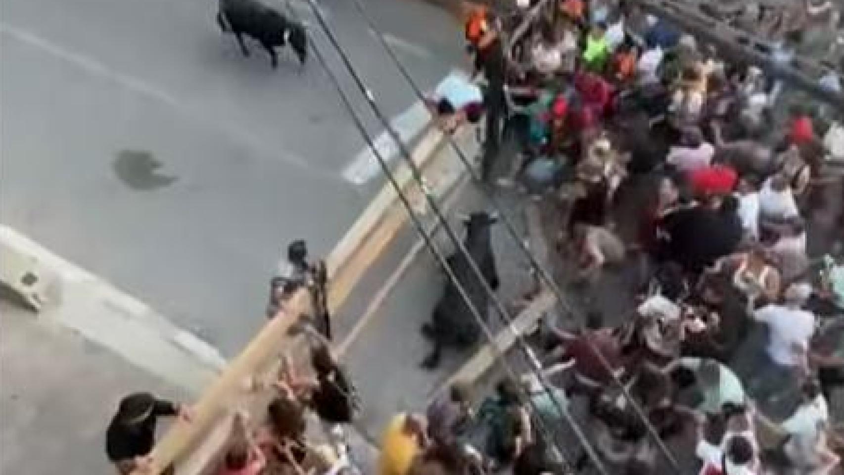 Momento de caos en Alcalá del Júcar. Foto: redes sociales / Pedro Pini.