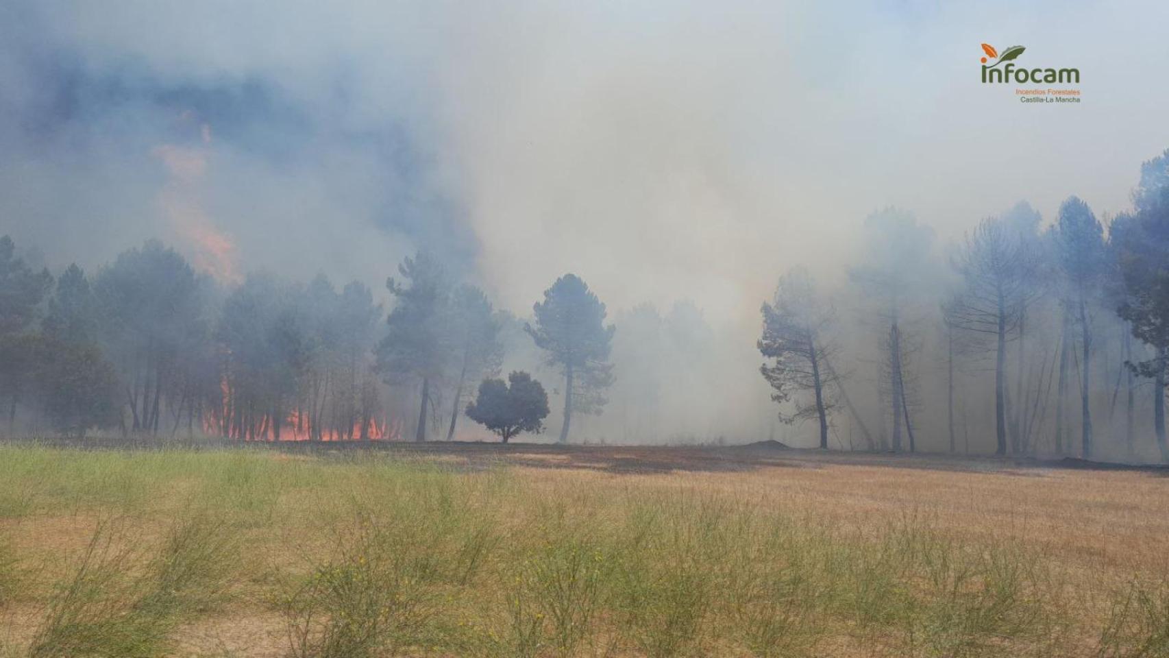 Incendio originado este sábado en Almodóvar del Pinar (Cuenca).