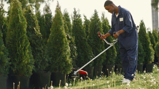 Las mejores desbrozadoras del 2025 en relación calidad-precio