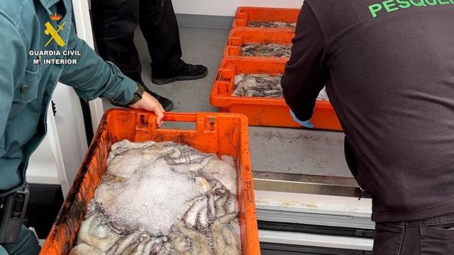 Agentes de la Guardia Civil con el pescado incautado