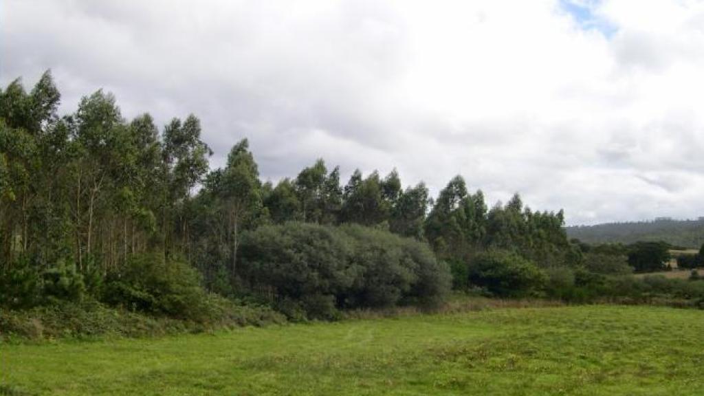 Terreno de Costa Da Morte, A Coruña.