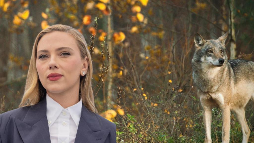 Imagen de archivo de Scarlett Johansson en Cannes junto a un lobo en EEUU.