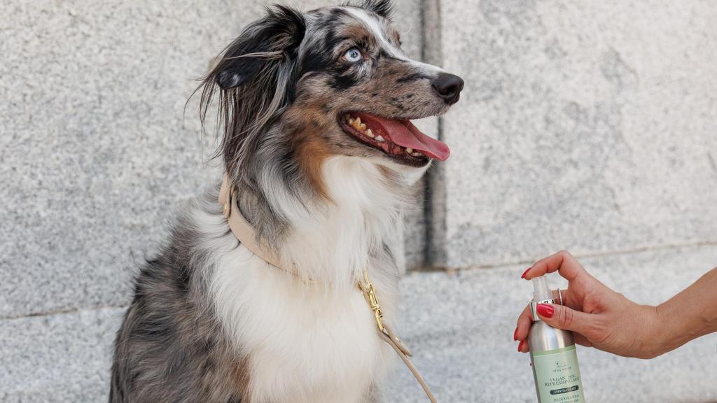 Un perro y el spray de Nina Woof.