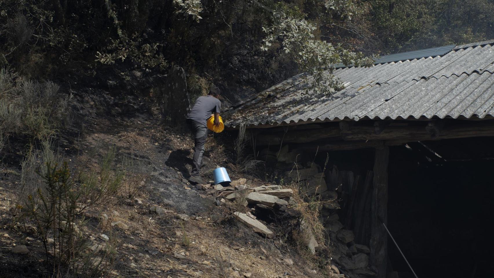 Ganadero propietario de algo más de cien vacas en Teixeira, intenta sofocar el fuego en uno de los refugios de los animales, a 10 de agosto de 2025, en Maceda, Ourense, Galicia (España)