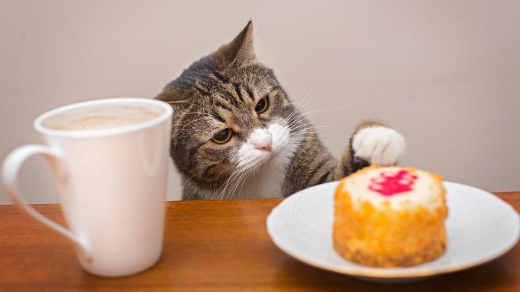 Un gato intentado coger un trozo de pastel.