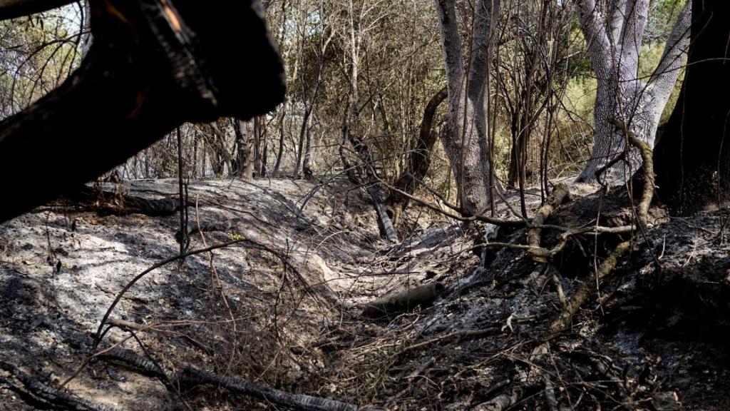 Zona afectada del incendio.