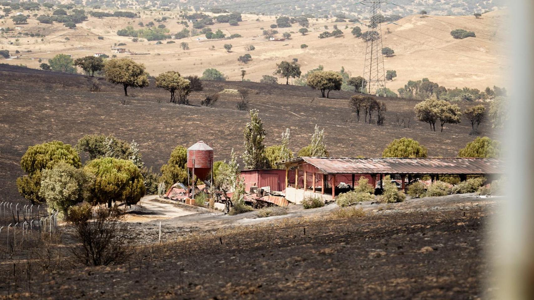 La finca de caballos de Soto de Viñuelas quemada tras el incendio.