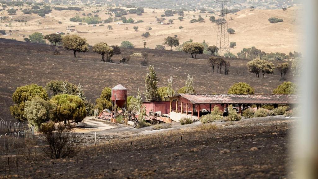 La finca de caballos de Soto de Viñuelas quemada tras el incendio.