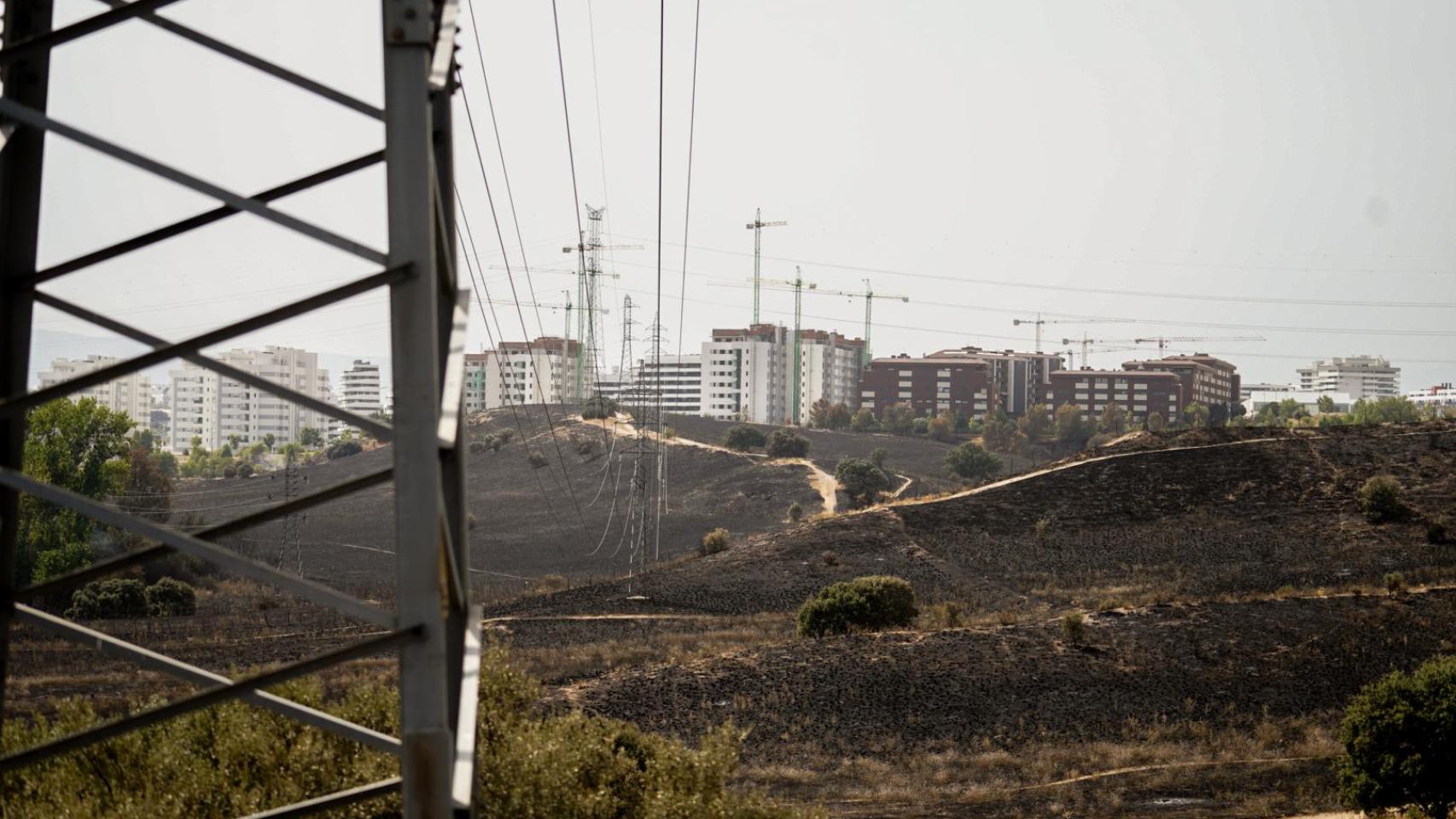 Los campos negros debido al incendio en Tres Cantos que ha quemado 1.500 hectáreas.