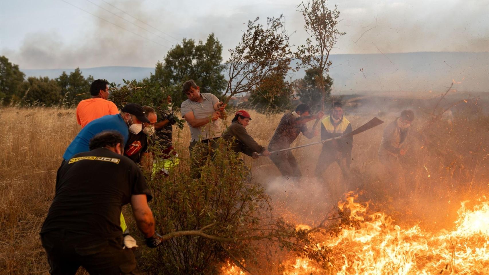 Varias personas tratan de apagar el fuego, a 12 de agosto de 2025, en Abejera, Zamora, Castilla y León (España)