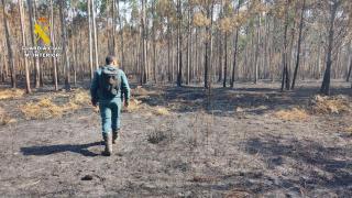 Detienen a un vecino de Laxe (A Coruña) como presunto autor de un incendio forestal