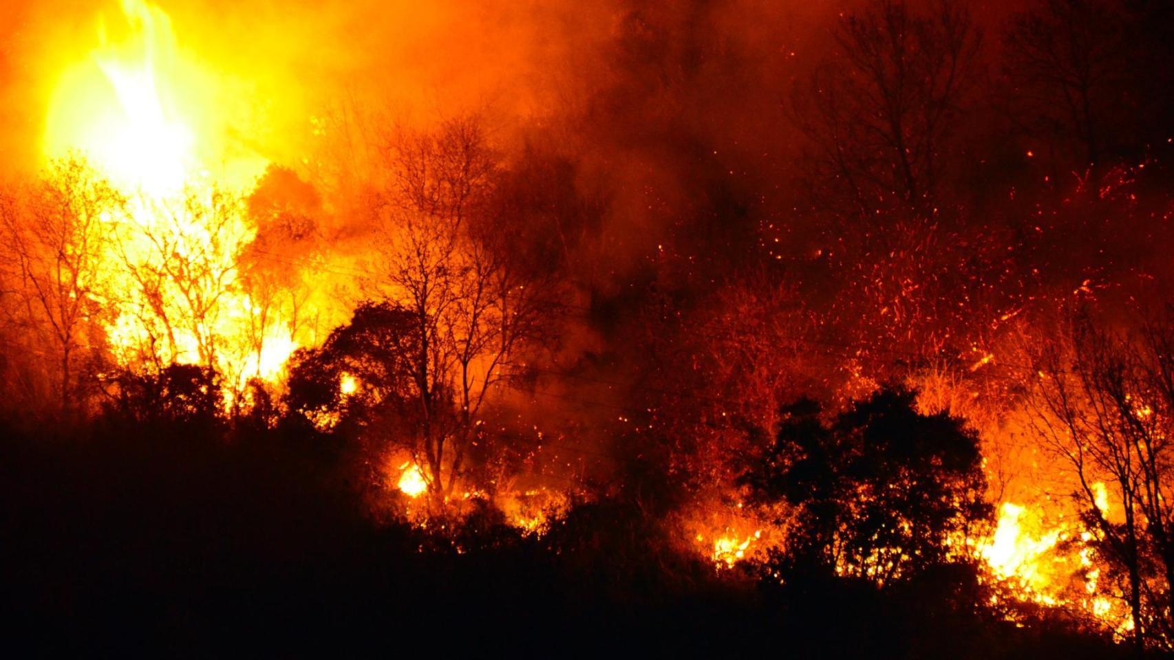 Incendio en un monte