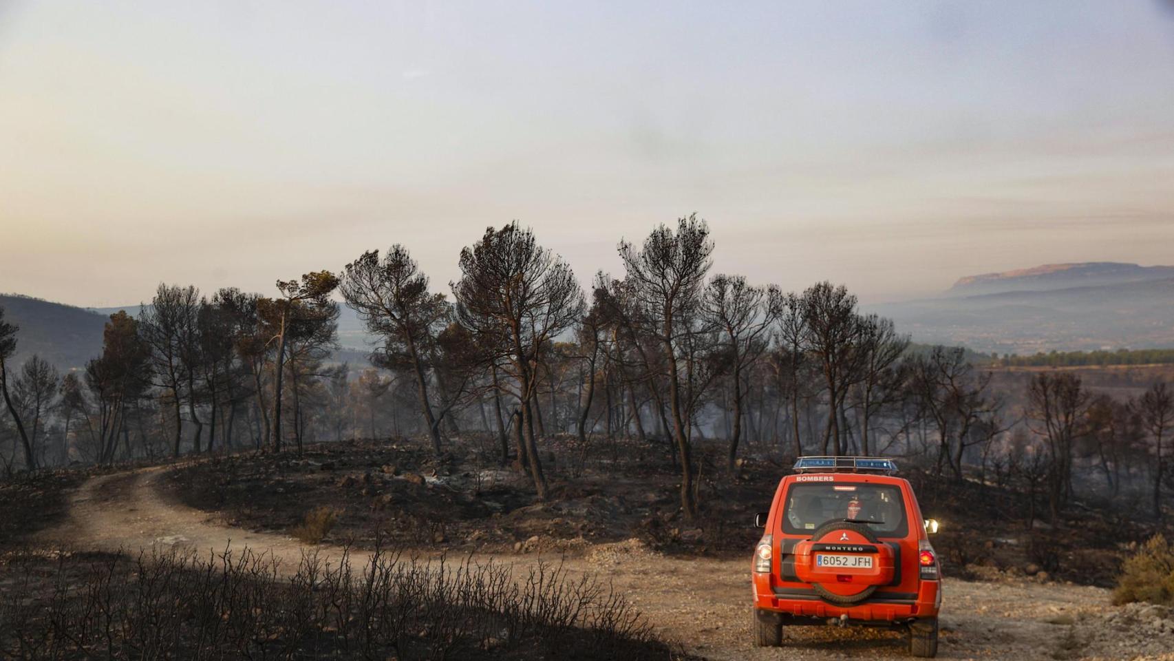 Bomberos en el incendio de Teresa de Cofrentes. Efe / Manuel Bruque