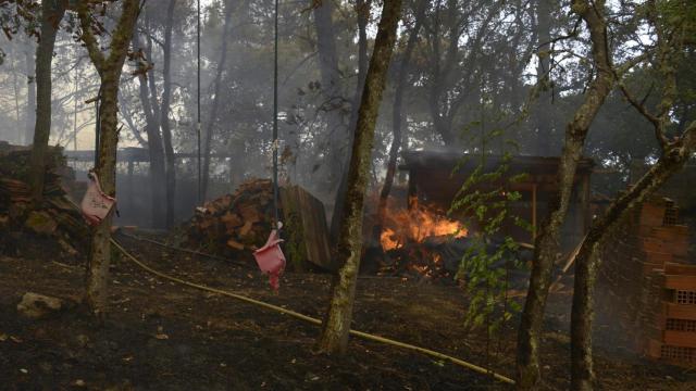 Jardín privado quemado durante el incendio, a 12 de agosto de 2025, en Seixalbo, Ourense.