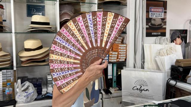 Abanico de Ceylán, en Málaga.