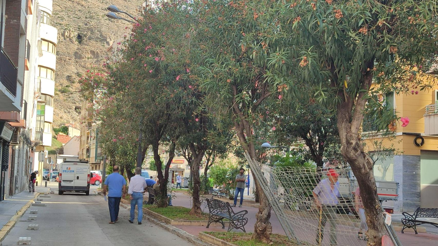 El paseo, en su estado actual.