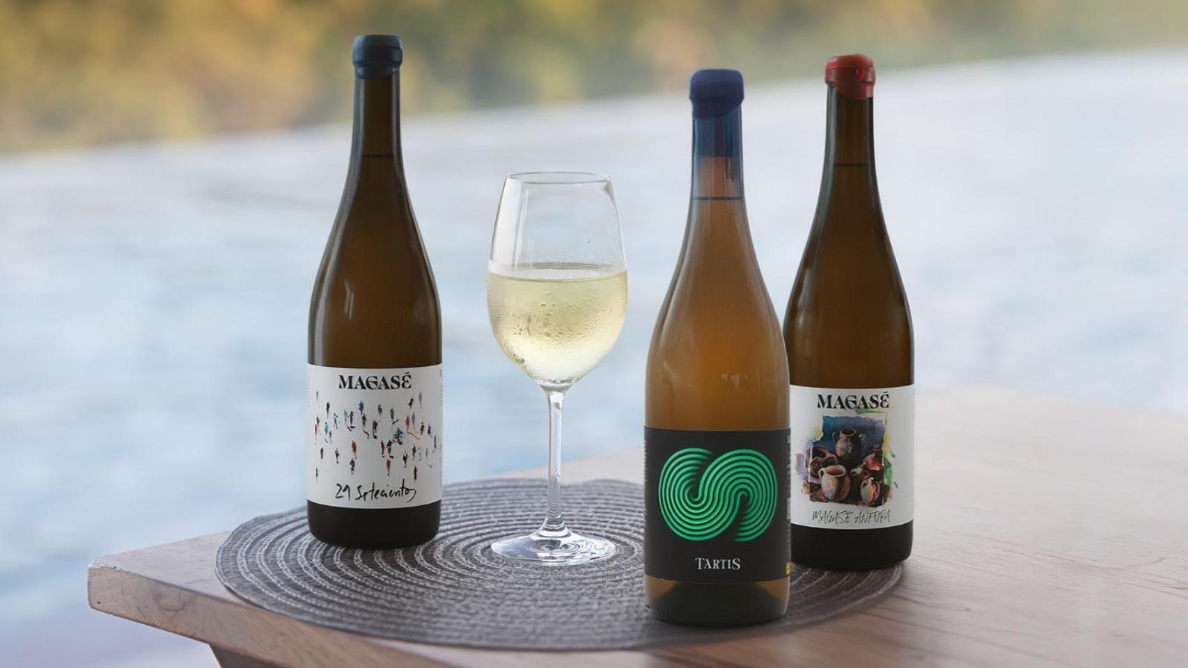 Los vinos 21Setescientos 2024, Magasé Ánfora 2024 y Tártis 2024 de Bodegas Magasé.