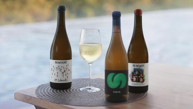 Los vinos 21Setescientos 2024, Magasé Ánfora 2024 y Tártis 2024 de Bodegas Magasé.