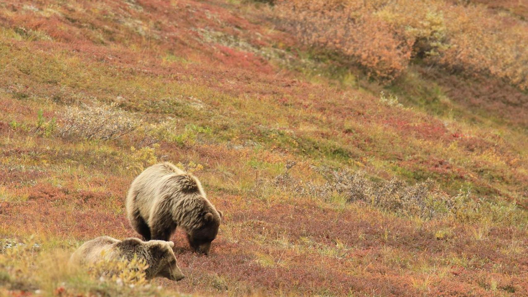 un-recorrido-por-alaska-y-sus-ciudades-con-una-cultura-vibrante-y-una