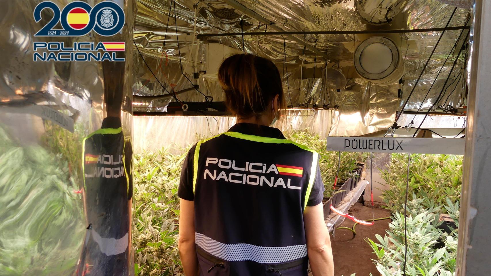 La Policía Nacional detiene a un hombre en Petrer por tráfico de drogas.