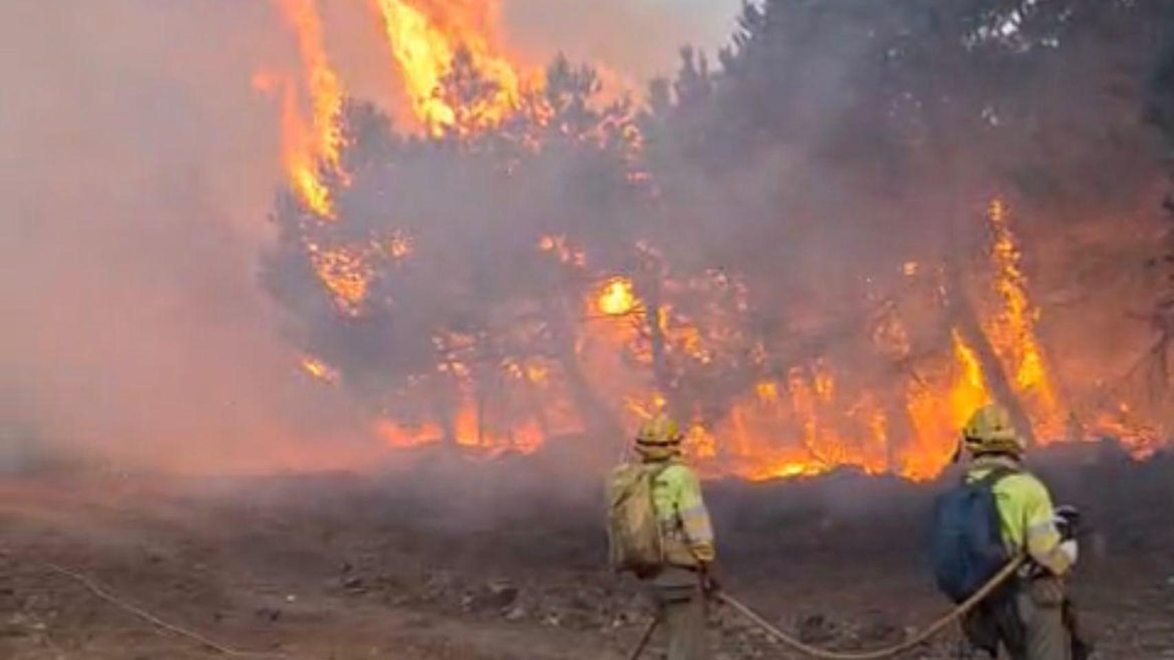 Las brigadas de extinción de incendios de Talher, filial de Clece, se esfuerzan  para acabar con las llamas que arrasan Castilla y León