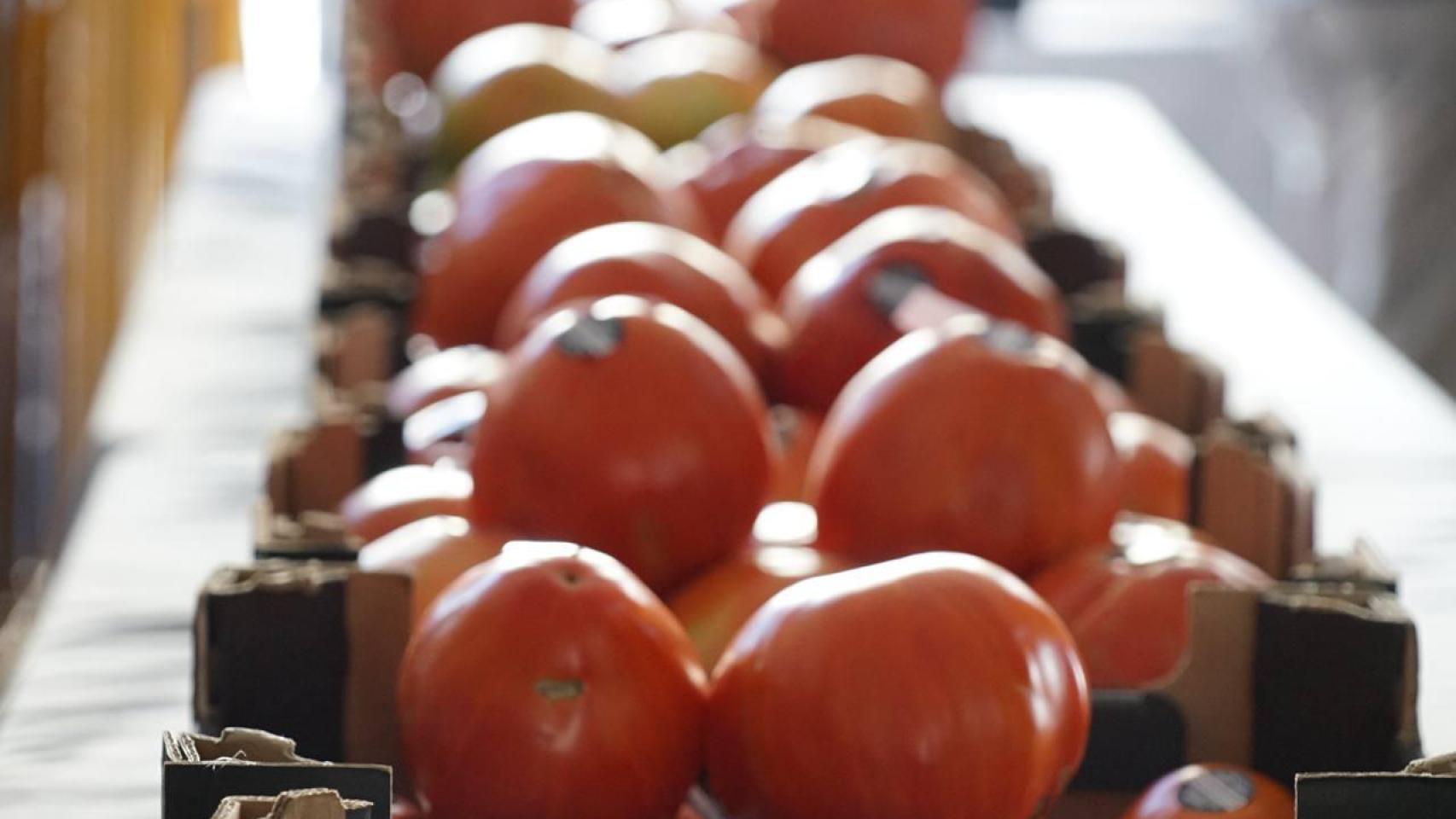 Subasta de Tomate Huevo de Toro.